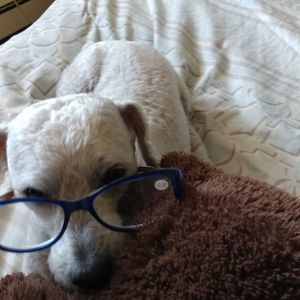 Meet your Posher, Halema